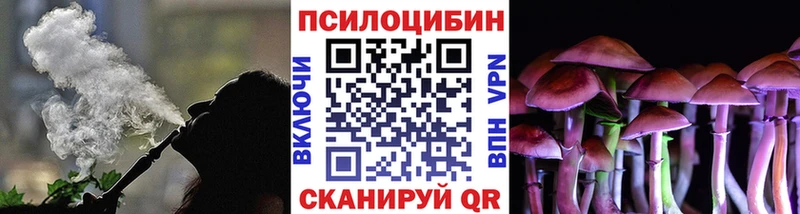 цены наркотик  Юрга  Галлюциногенные грибы Psilocybine cubensis 